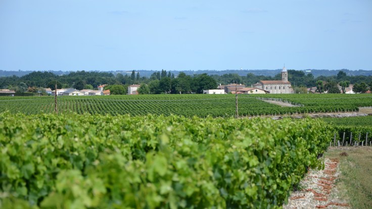 Médoc-Route-Des-Chateaux-23.jpg